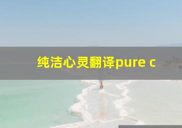 纯洁心灵翻译pure c